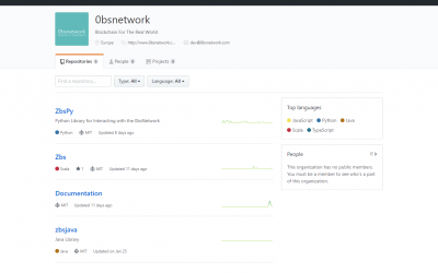 Custom Fees on 0bsnetwork